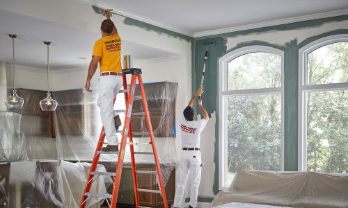 Living Room Painting